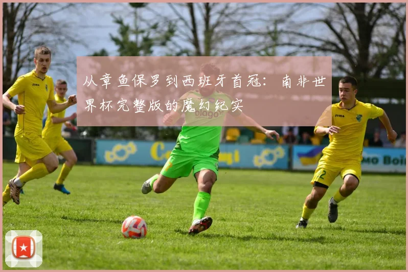 从章鱼保罗到西班牙首冠：南非世界杯完整版的魔幻纪实