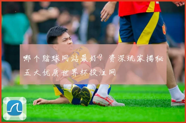 哪个赌球网站最好?资深玩家揭秘五大优质世界杯投注网