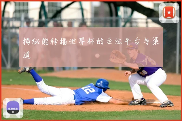 揭秘能转播世界杯的合法平台与渠道