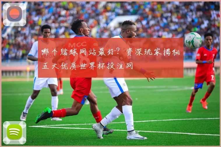 哪个赌球网站最好?资深玩家揭秘五大优质世界杯投注网