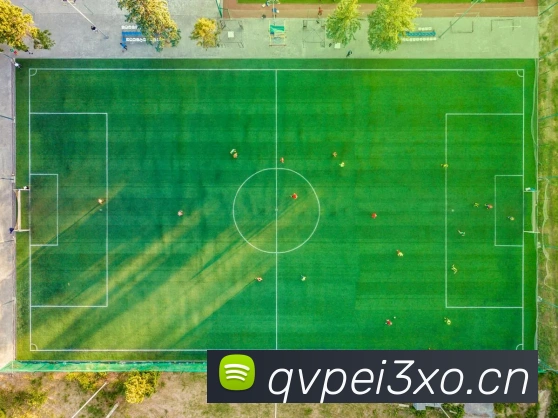 九游j9官网入口快速登录APP 封面图